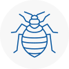Bed Bug Extermination In Blaydon