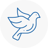 Bird Prevention Blaydon