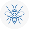 Blaydon Hornet Nest Removals