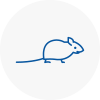 Mice Exterminators In Blaydon