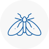Moth Control Specialists In Blaydon
