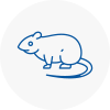Rat Control Blaydon
