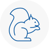 Blaydon Rodent Removals