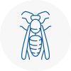 Blaydon Wasp Nest Removal
